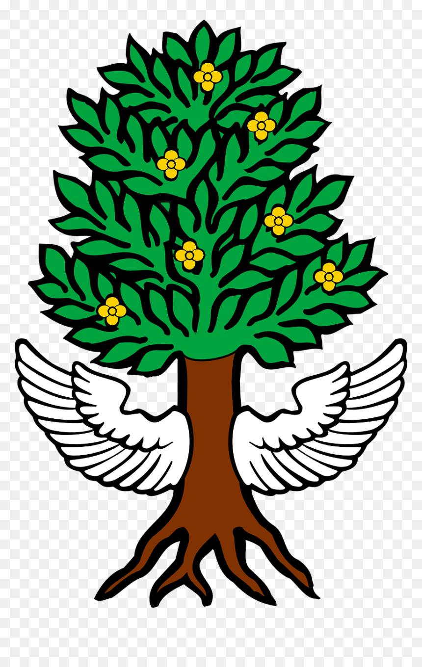 Un Arbol Con Alas, HD Png Download - tree roots png