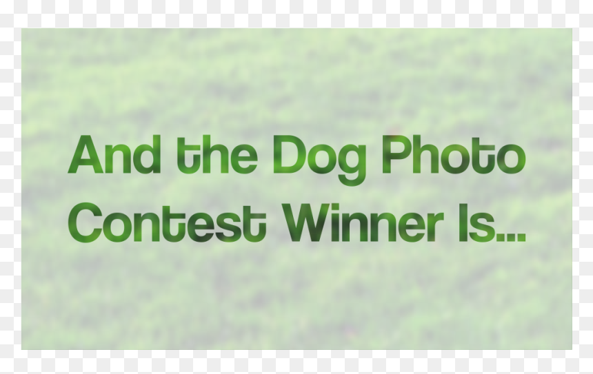 Latest Offers, HD Png Download - winner png