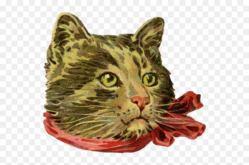 Cat, HD Png Download - cats png
