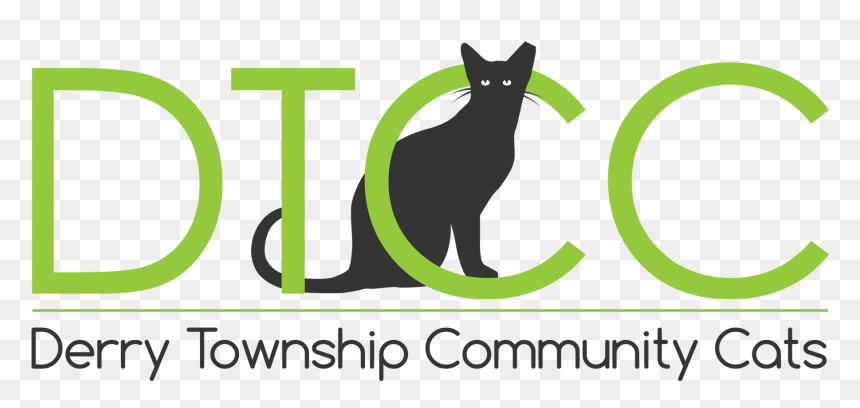 Black Cat, HD Png Download - cats png