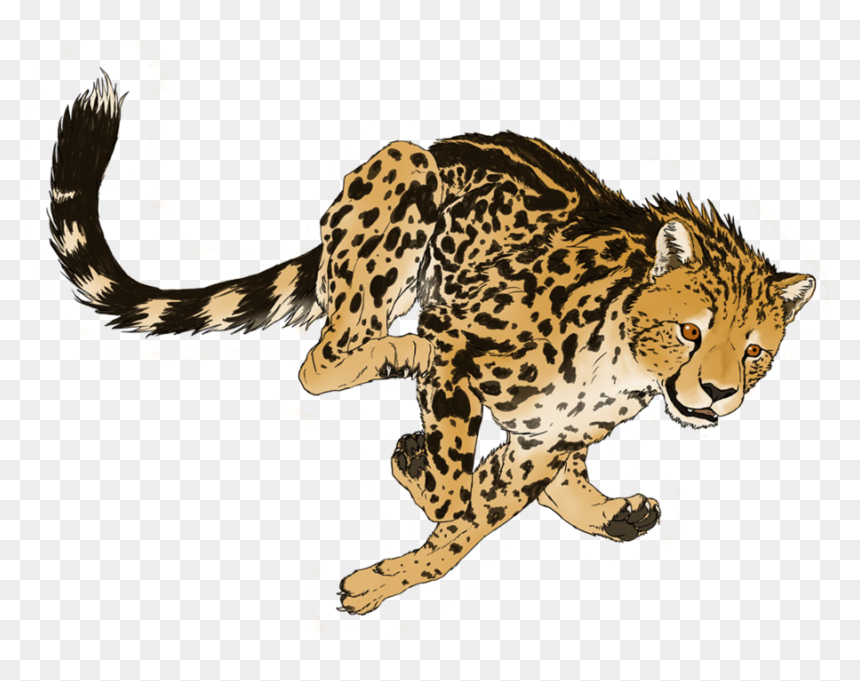 Transparent Cheetah, HD Png Download - cheetah png