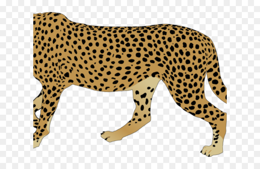 Cheetah Clipart Png, Transparent Png - cheetah png