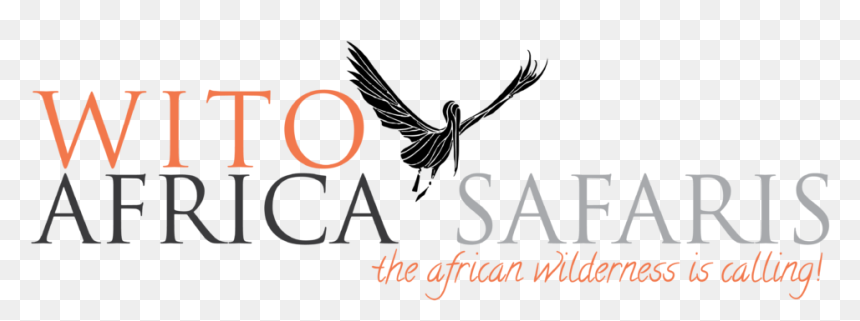 Wito Africa Safaris - Handicaps Network Africa, HD Png Download - africa.png