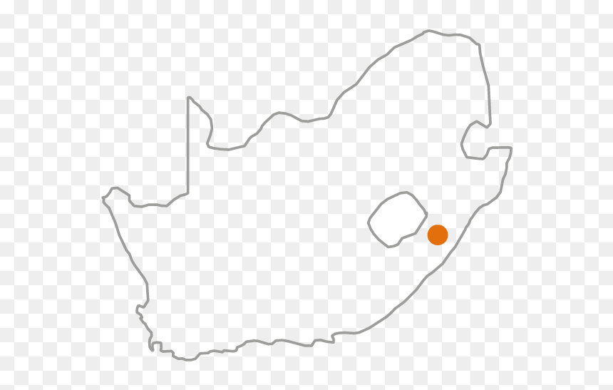 South Africa - Cartoon, HD Png Download - africa.png