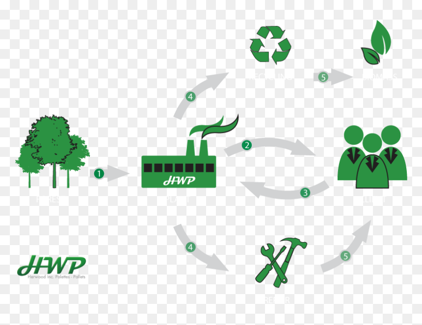 Herwood Wooden Pallet Life Cycle - Life Cycle Of A Wooden Pallet, HD Png Download - wood pallet png