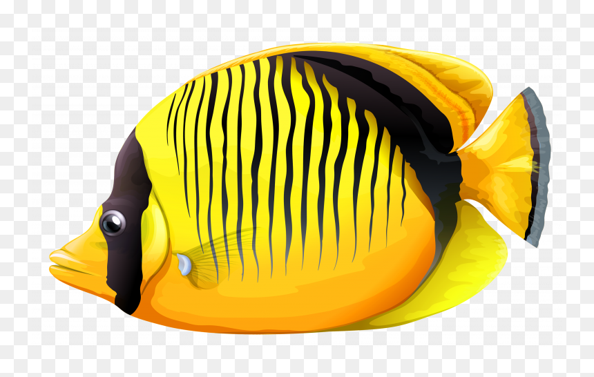 Best Free Fish Transparent Png File, Png Download - fish illustration png