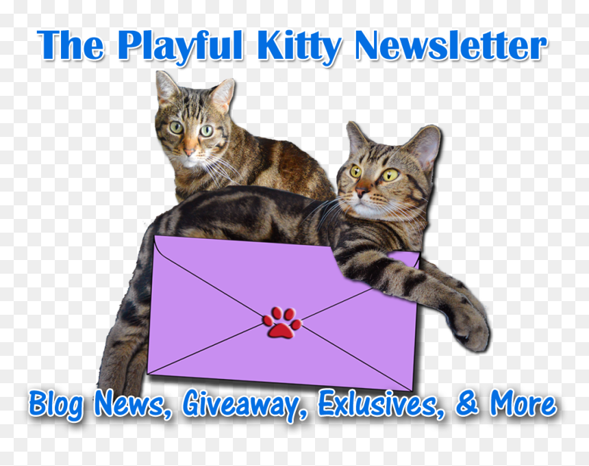 Subscribe To Our Newsletter - Cat Grabs Treat, HD Png Download - cat laying down png