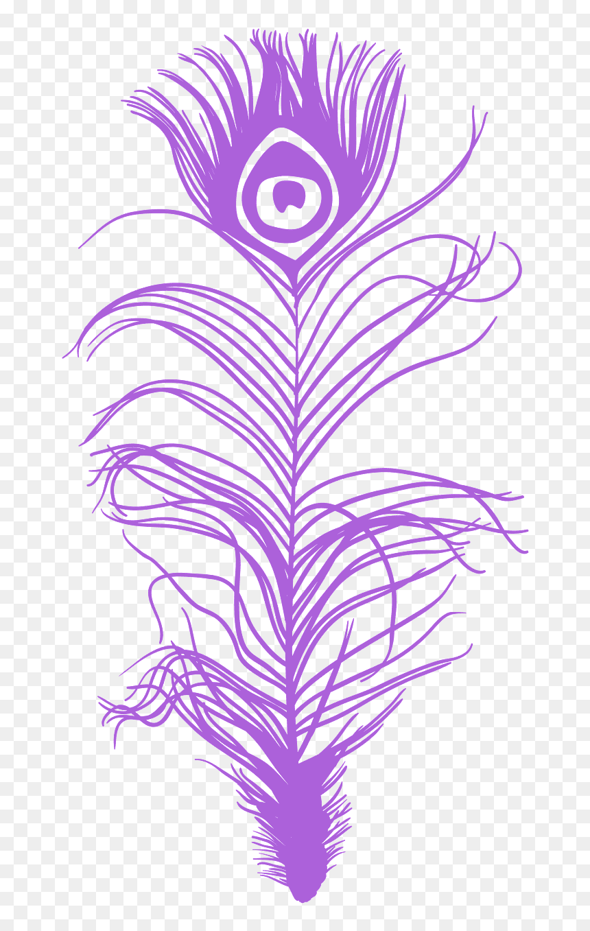 Siluetas Del Pavo Real, HD Png Download - peacock feather vector png