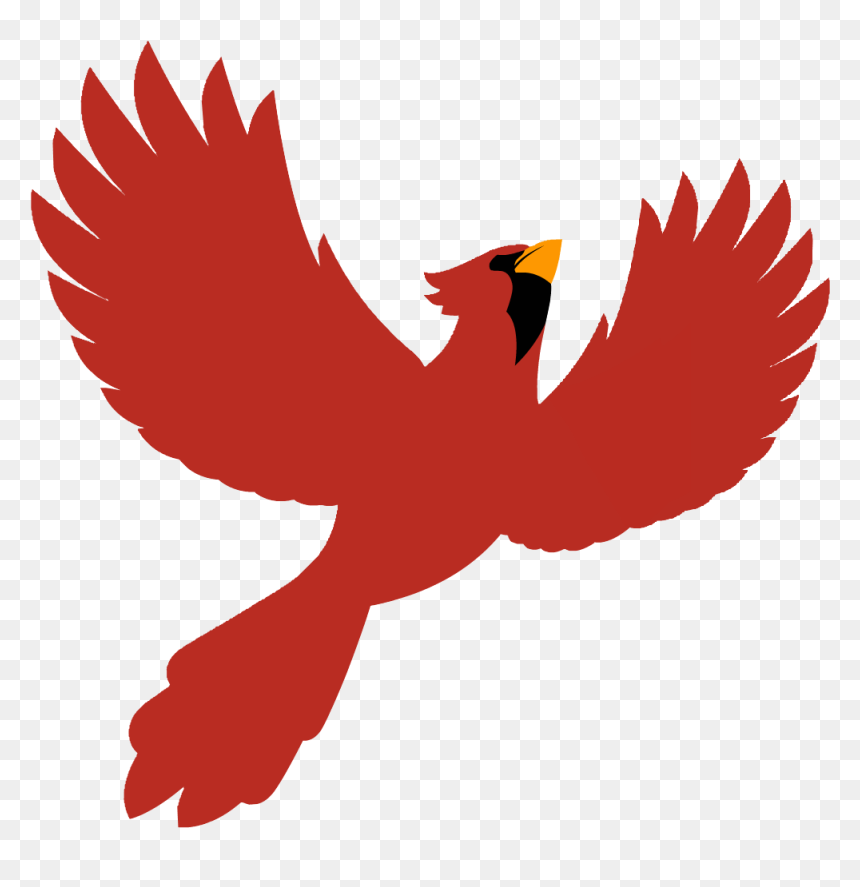 And A Special Thanks To Our - Kite, HD Png Download - red tailed hawk png