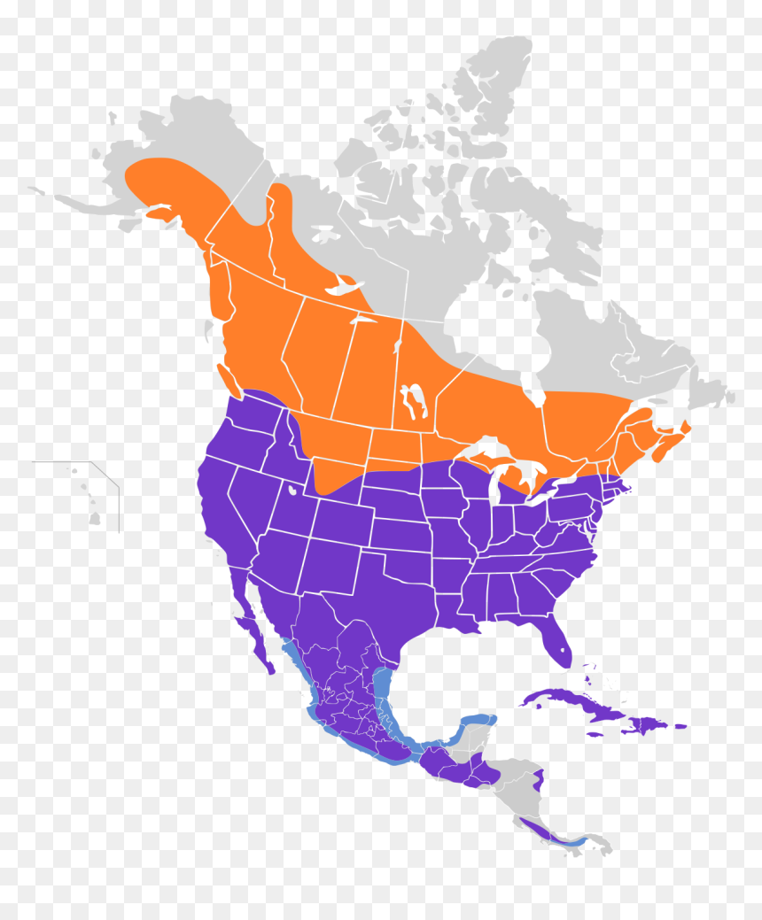 Usa Canada And Mexico, HD Png Download - red tailed hawk png