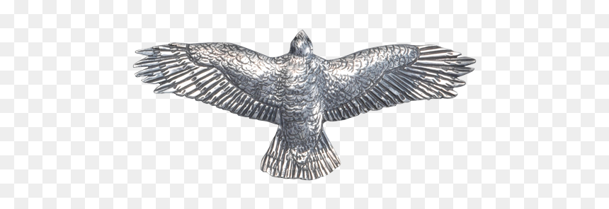 P826a-s00, HD Png Download - red tailed hawk png