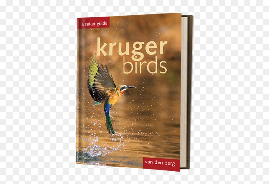Hph Publishing"
 Class= - Puffin, HD Png Download - red tailed hawk png