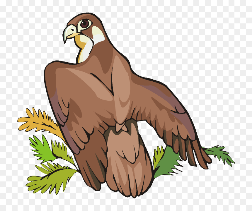 Hawk Clipart Egle Free Clipart On Dumielauxepices Regarding - Eagle With Tree Clipart, HD Png Download - red tailed hawk png