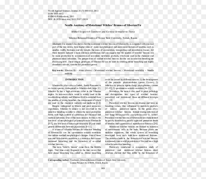 Democracy In English, HD Png Download - witches broom png