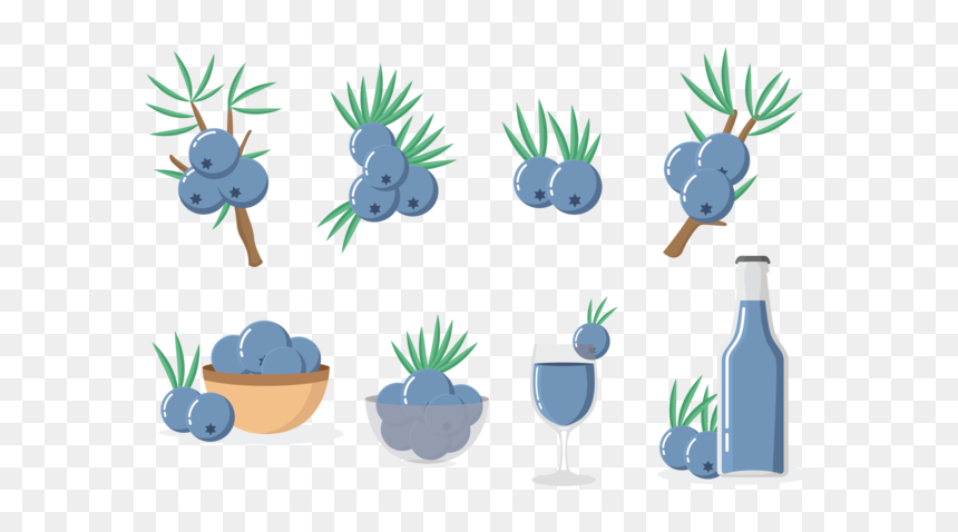 Juniper Iconos Vector, HD Png Download - lineas decorativas vectores png