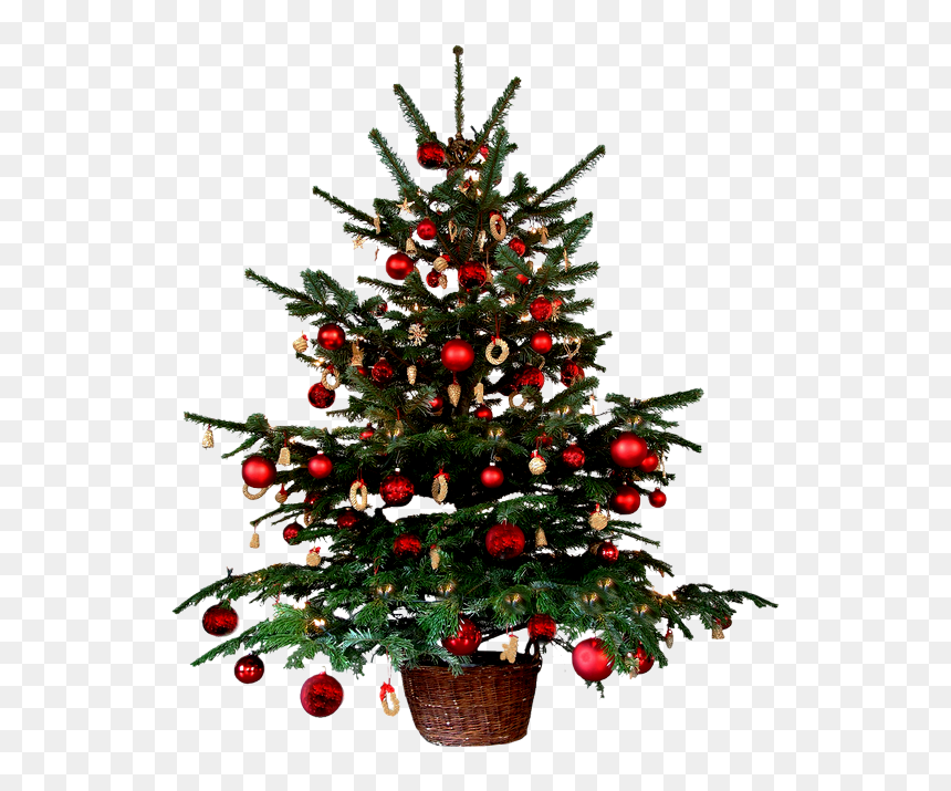 Renders De Navidad , Png Download - Things We See During Christmas, Transparent Png - arbolito de navidad png