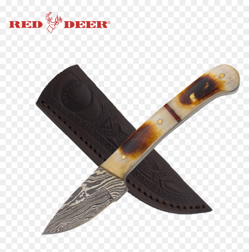 7 In Red Deer® Hunting Knife Real Bone Handle - Cherokee Knives, HD Png Download - real bone png