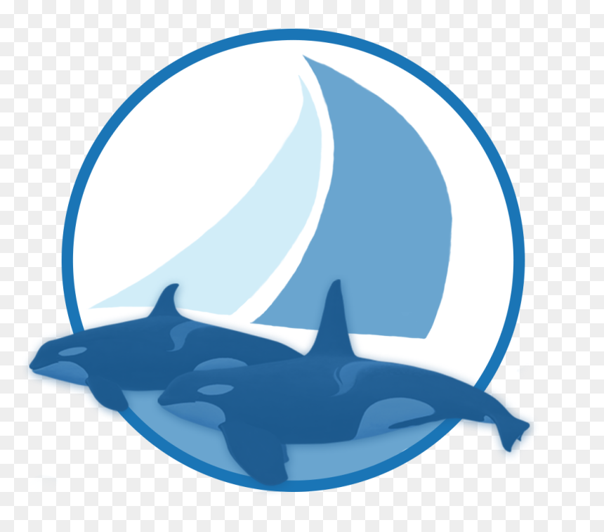 Sailing With Killer Whales - Dolphin, HD Png Download - whales png