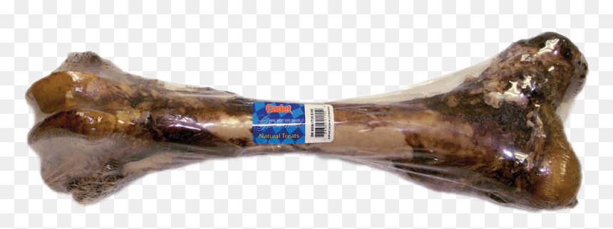 Monster Bone, Big Dog Bone, Bone For Large Dogs, Femur - Bone, HD Png Download - real bone png