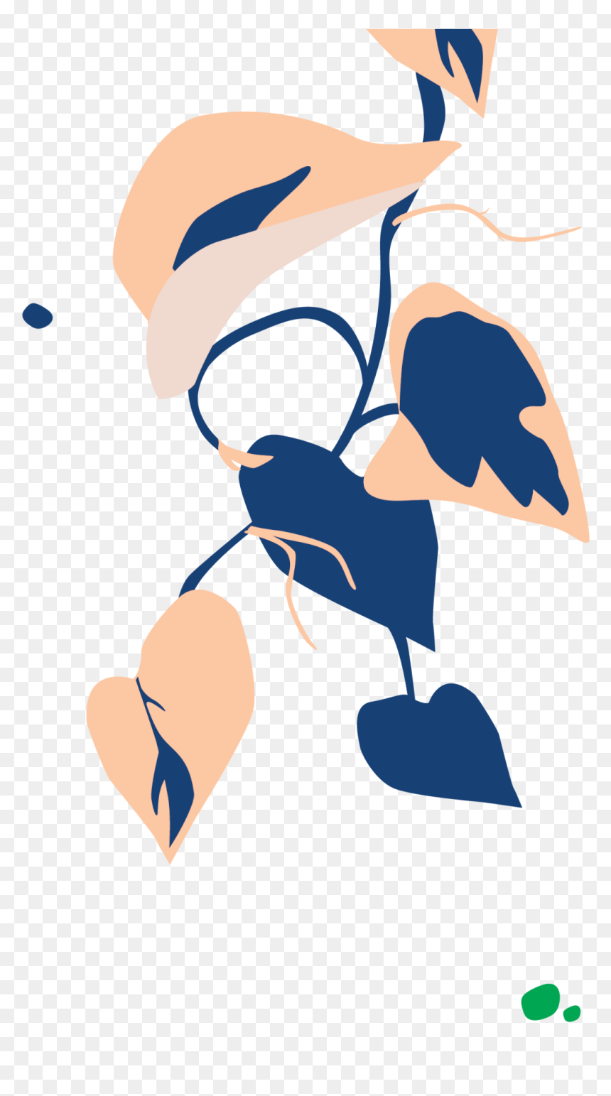 Illustration, HD Png Download - philodendron png