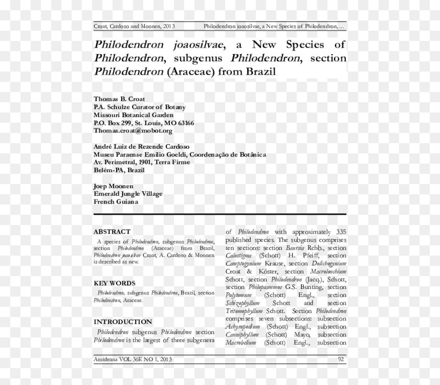 Screenshot, HD Png Download - philodendron png