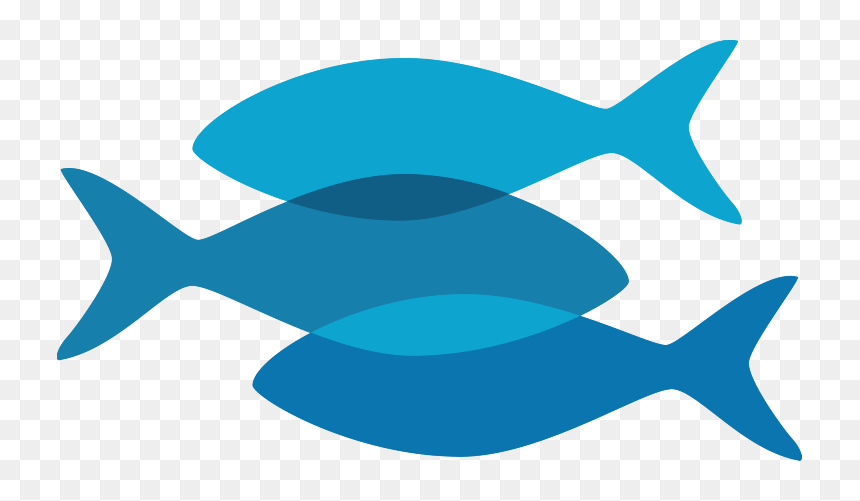 Omega3, HD Png Download - peces png