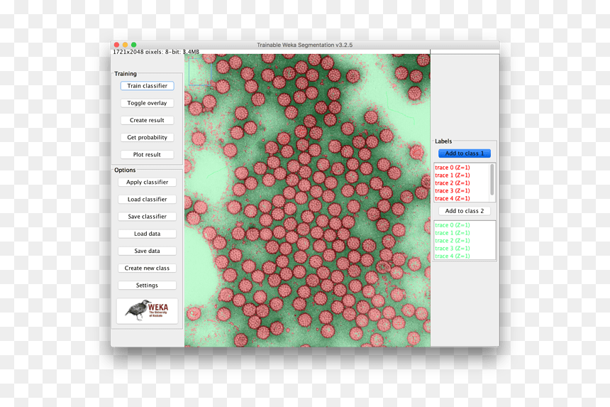 Screenshot, HD Png Download - green particles png