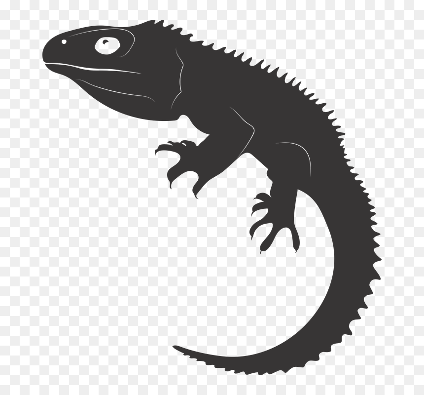 Transparent Reptiles Png - Northwood Greek Key Blue Ribbed, Png Download - reptiles png
