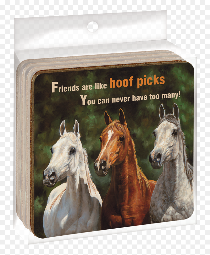 Ec04861 Hoof Picks Ecocoaster Set"
 Title="ec04861 - Welcome Horse, HD Png Download - horse hoof png