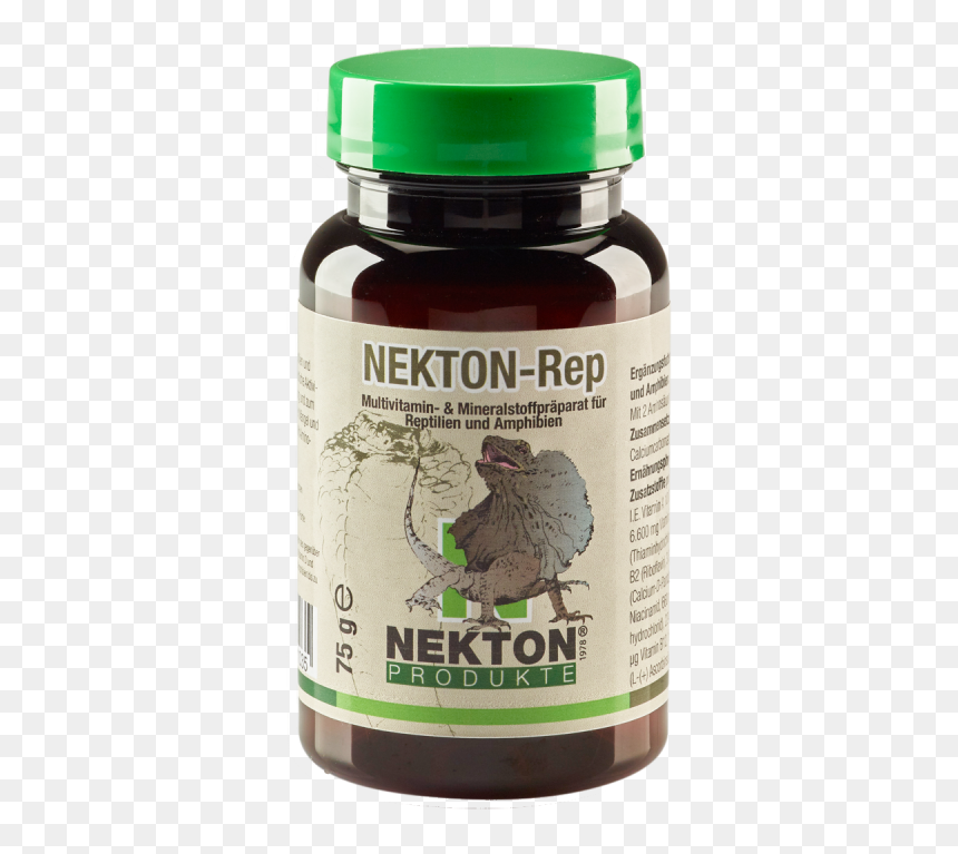 Nekton E, HD Png Download - reptiles png