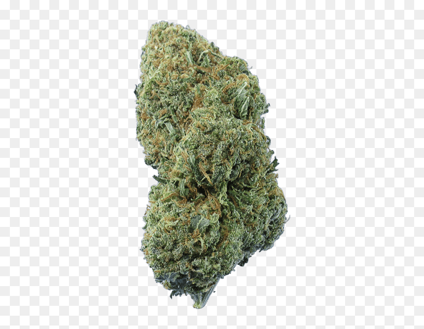 Crystal Haze Cbd - Haze Sativa, HD Png Download - weed bud png