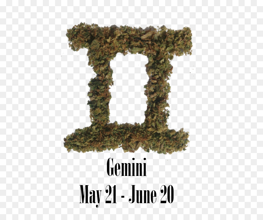 Tree, HD Png Download - weed bud png