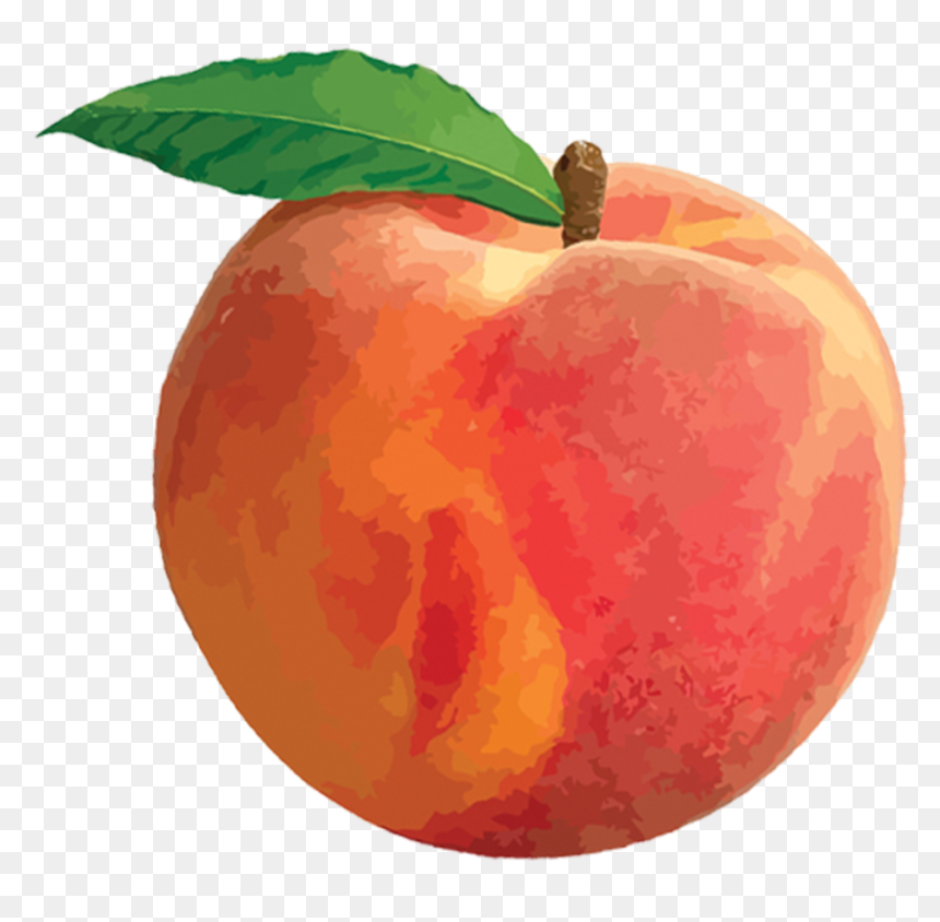 Peaches With Leaf Png - Peach Png, Transparent Png - orange leaf png