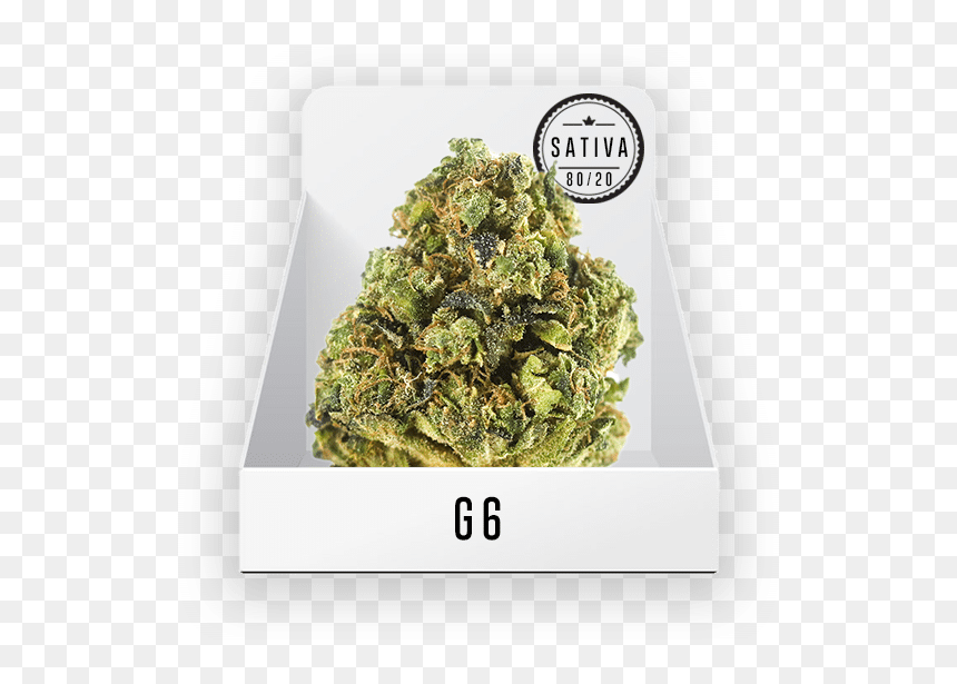 Tung-ting Tea, HD Png Download - weed bud png
