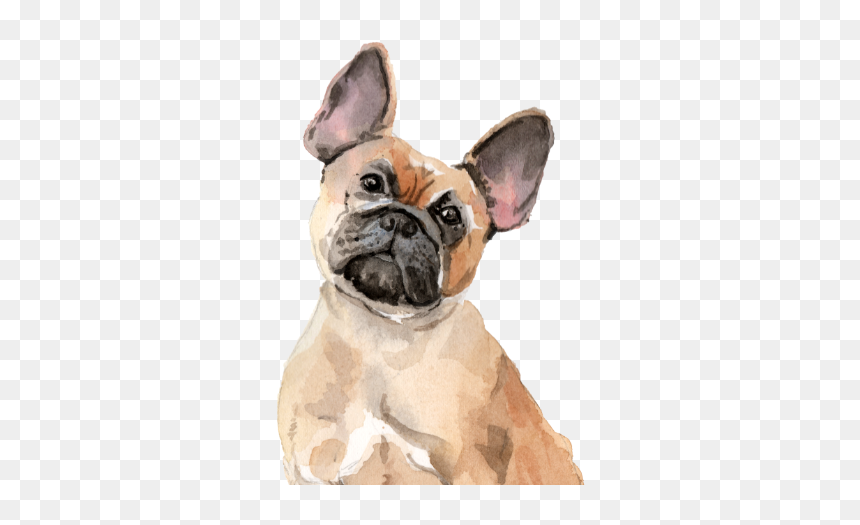 Dog Tote Bag - Bulldog, HD Png Download - cool dog png