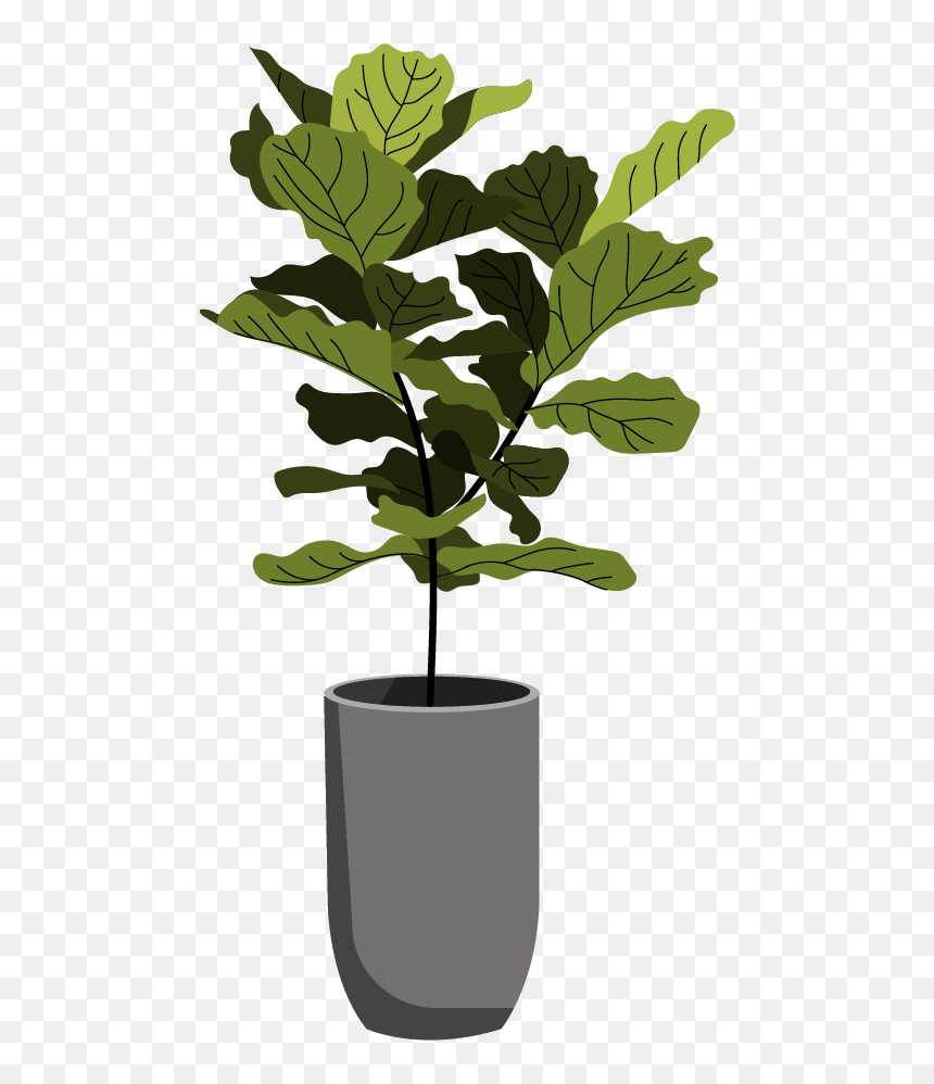 Basket, HD Png Download - coffee plant png