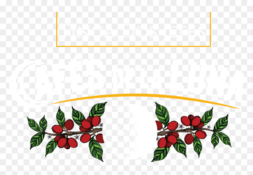 Boquete Coffee Tour - Logos De Coffee Tour, HD Png Download - coffee plant png