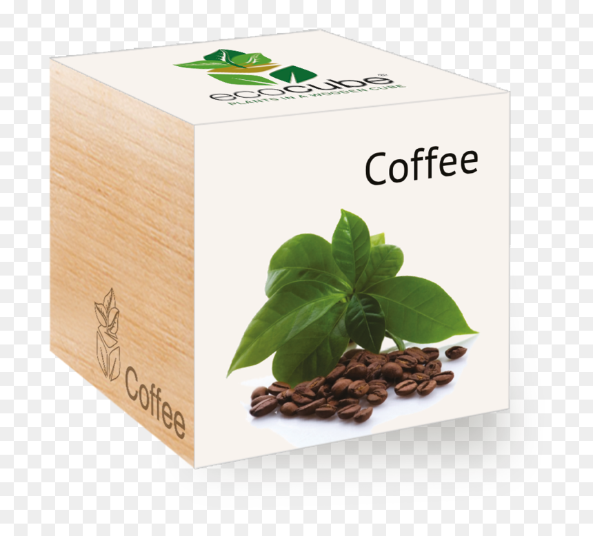 Feel Green Eco Cube Box Coffee, HD Png Download - coffee plant png