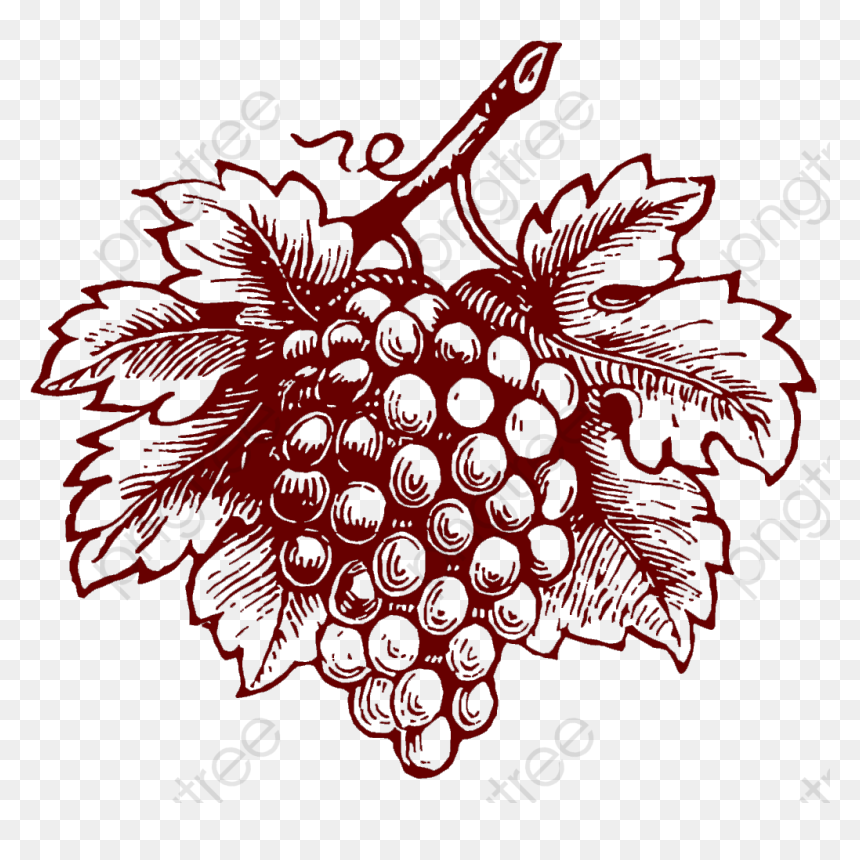 Grapes Clipart Realistic - Grapes Illustration Png, Transparent Png - grapes clipart png