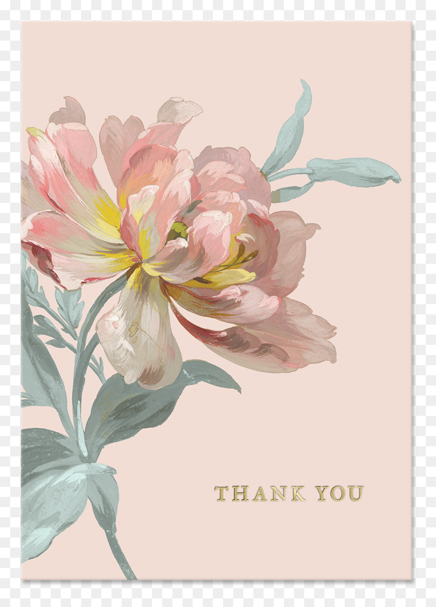 Lily, HD Png Download - pink thank you png