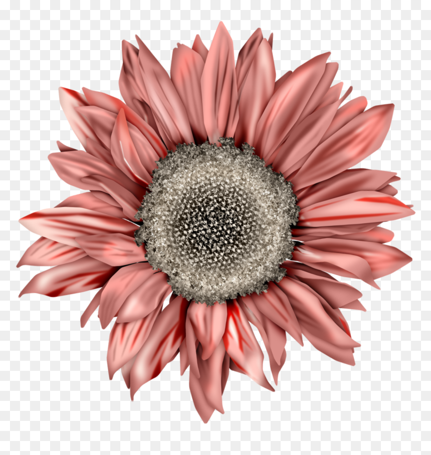 You Are My Sunshine Sunflower Png, Transparent Png - destellos azules png
