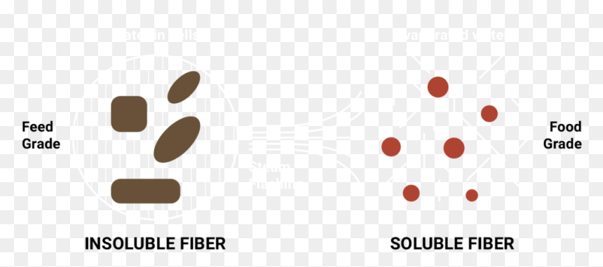 Fiberscheme-2 - Circle, HD Png Download - food steam png