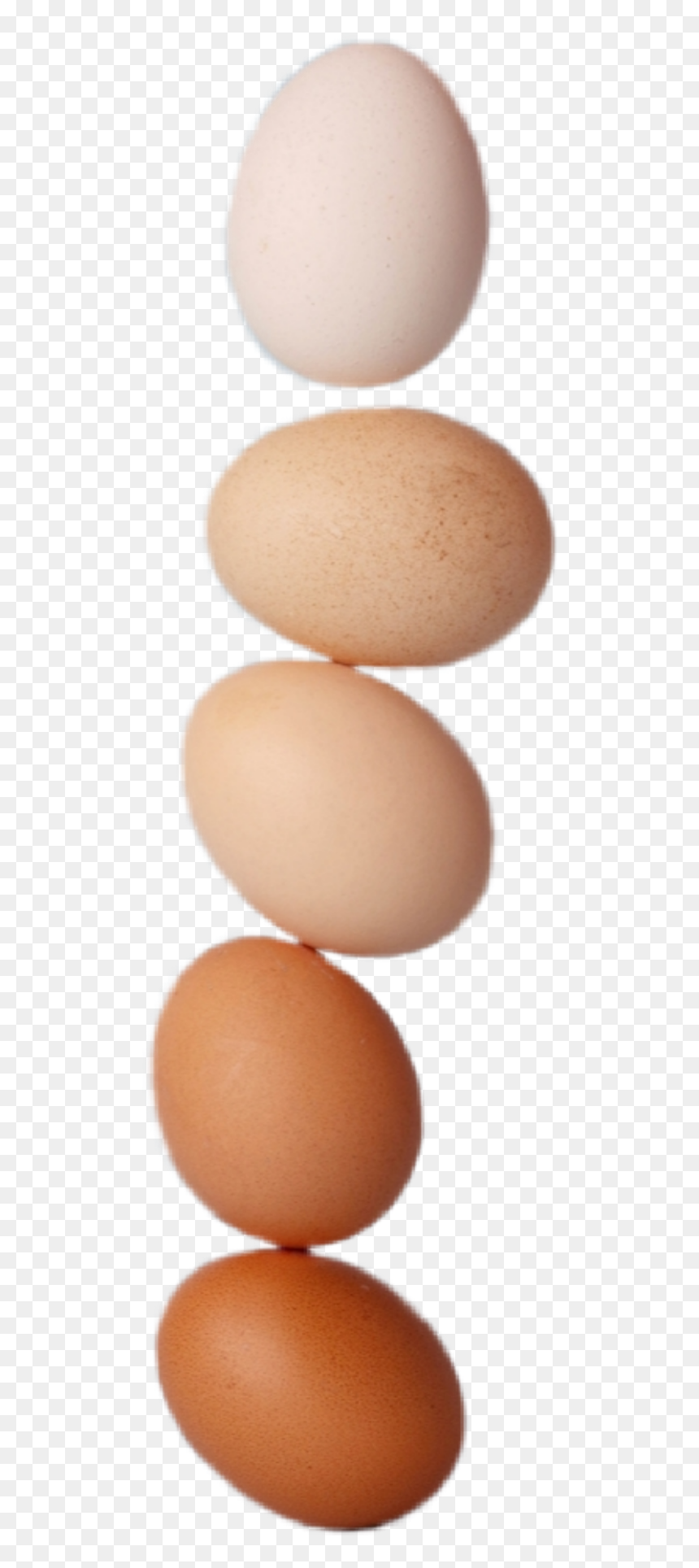 #huevos - Soy Egg, HD Png Download - huevos png
