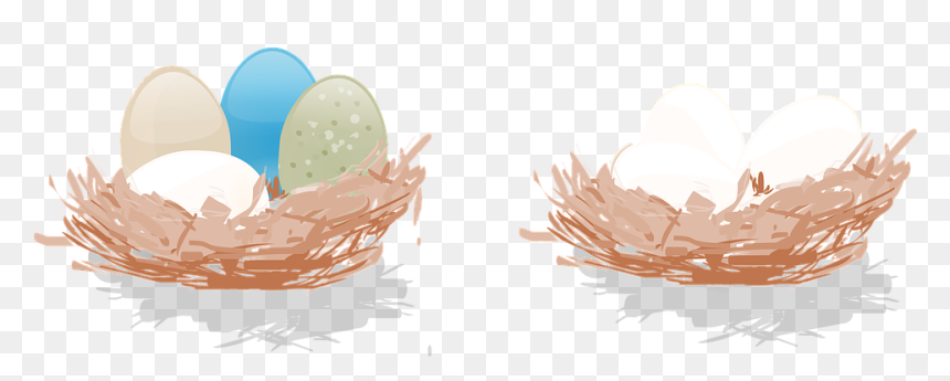 Ninho Com Ovos Png, Transparent Png - huevos png