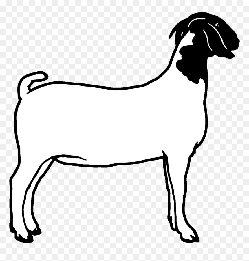 Goat Dairy Goats Clip Art Danaspda Top Transparent - Clip Art Boer Goat, HD Png Download - dairy png