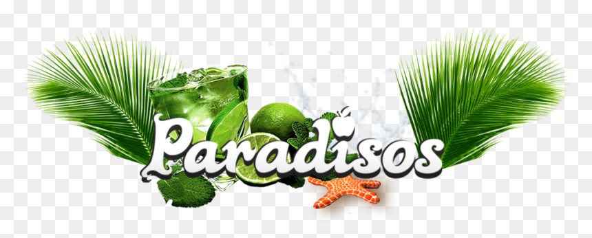 Paradisos Cyprus Beach, Cyprus Beach Venue, Cyprus - Illustration, HD Png Download - beach grass png