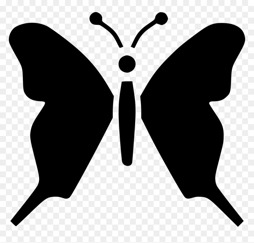 Graphic Black And White Butterfly Insect Nature Beauty, HD Png Download - black and white butterfly png