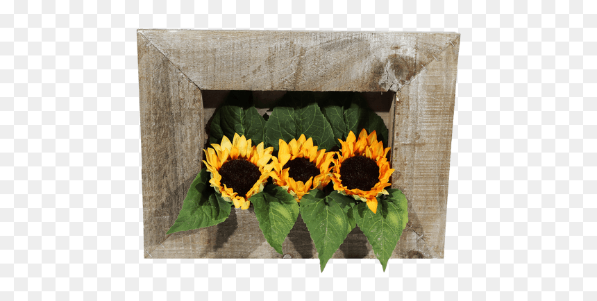 Sunflower, HD Png Download - sunflower frame png