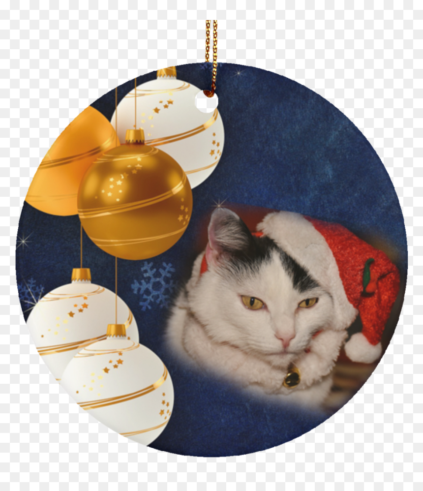 Cat Ornaments Black And - Not Christmas Yet Still November, HD Png Download - xmas ornaments png