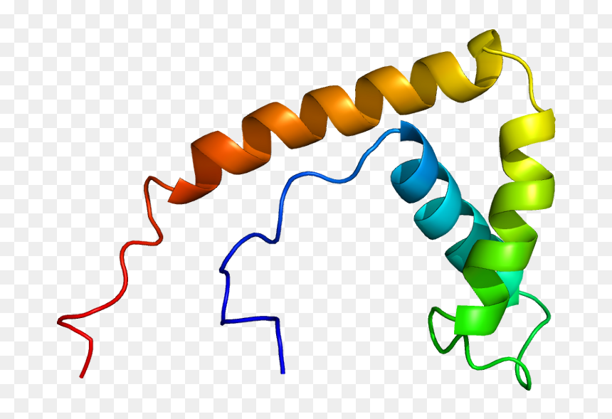 Proteina Png, Transparent Png - dna clipart png